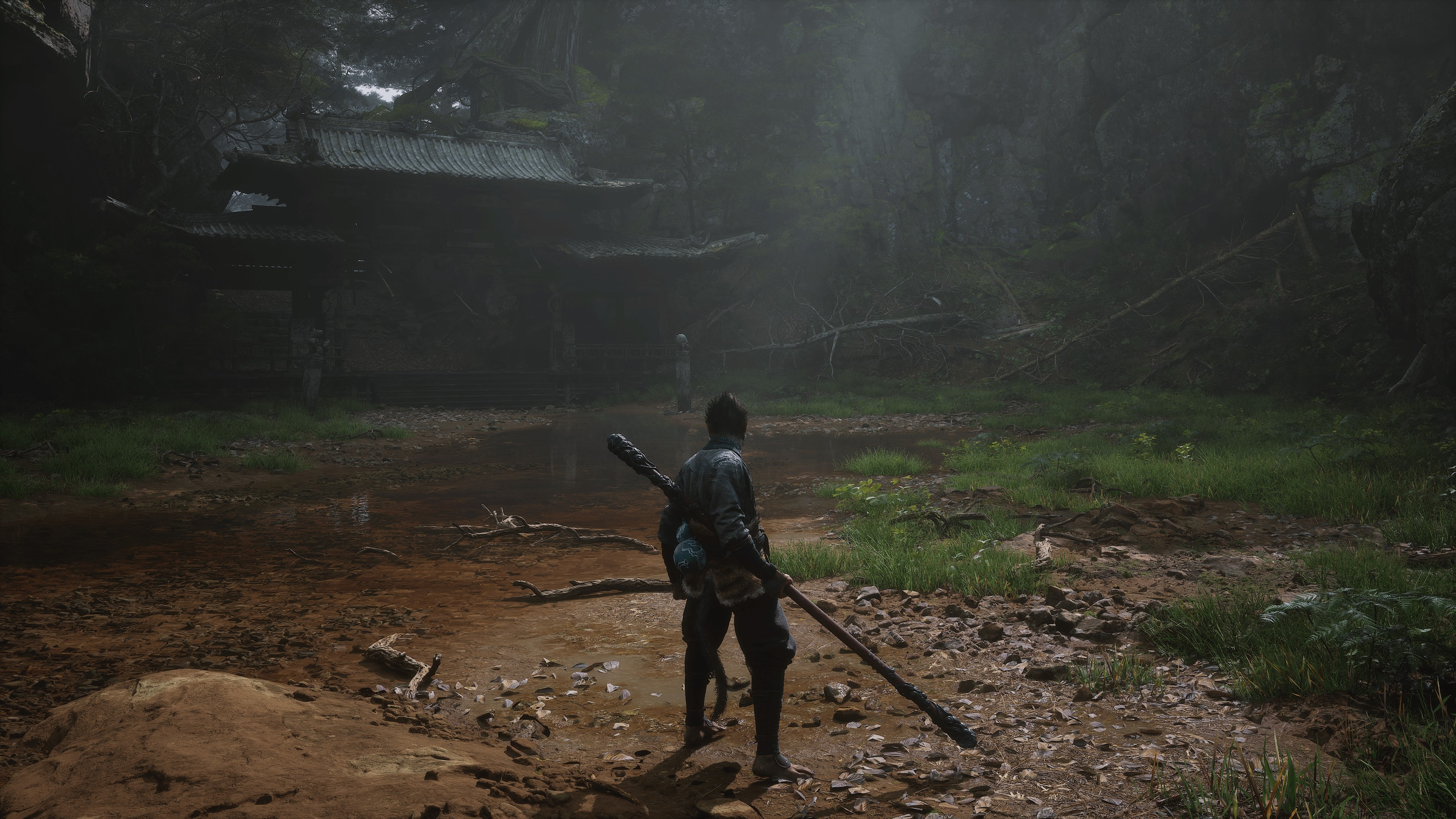 Black Myth: Wukong screenshot: realistic, third-person, no outlines, realistic lighting (environment, character)