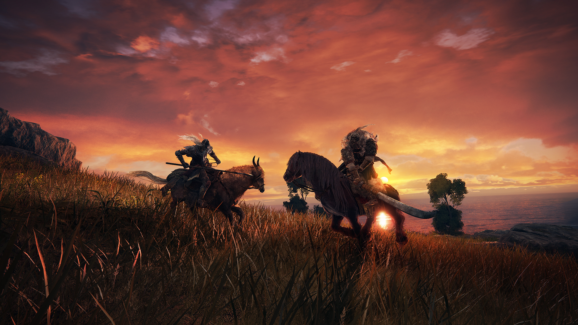 Elden Ring screenshot: realistic, third-person, no outlines, realistic lighting (environment, combat)
