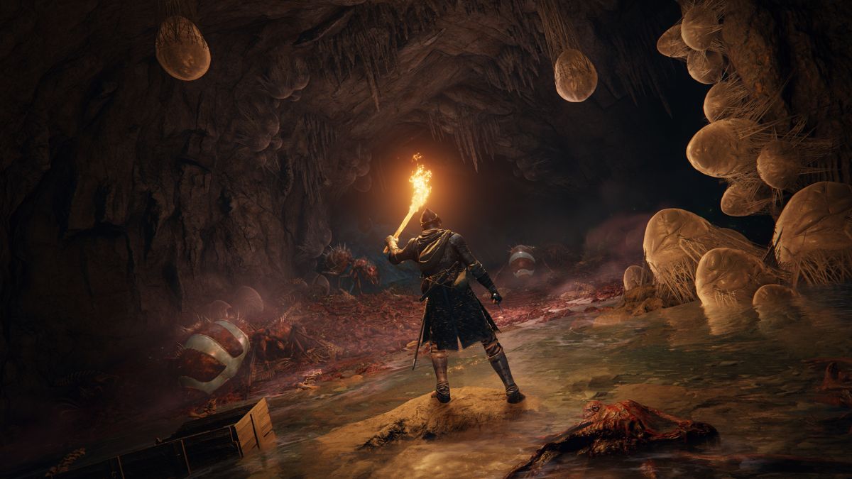 Elden Ring screenshot: realistic, third-person, no outlines, realistic lighting (environment, character)
