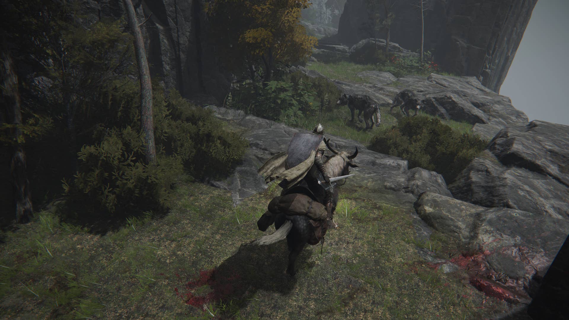 Elden Ring screenshot: realistic, third-person, no outlines, realistic lighting (environment, character)