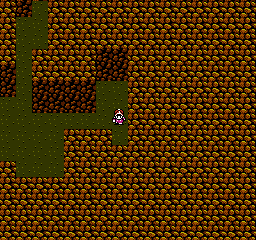 FINAL FANTASY III screenshot: pixel art, top-down, three-quarter, black outlines (environment)