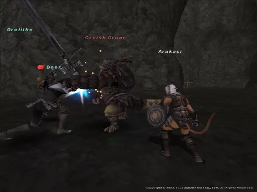 FINAL FANTASY XI screenshot: realistic, third-person, no outlines, soft gradient (environment, character, combat)