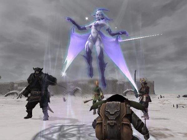 FINAL FANTASY XI screenshot: realistic, third-person, no outlines, soft gradient (environment, character, combat)