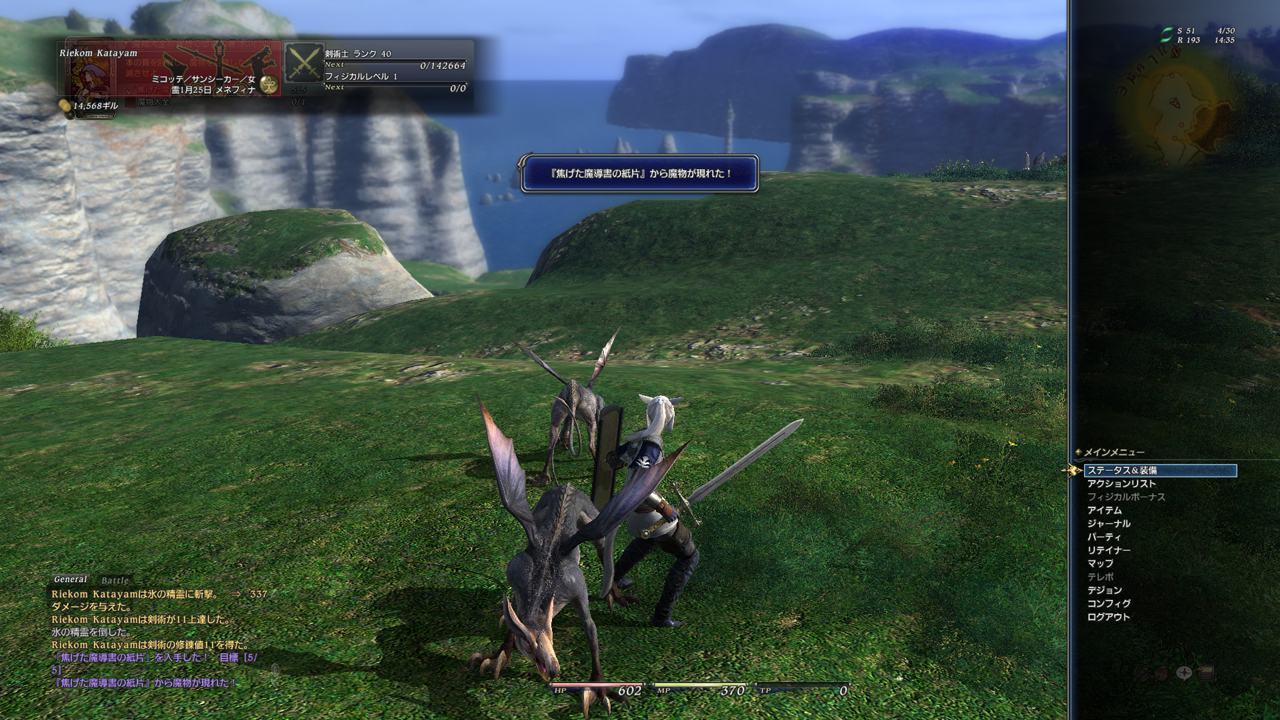 FINAL FANTASY XIV screenshot: realistic, third-person, no outlines, soft gradient (environment, ui / menu)