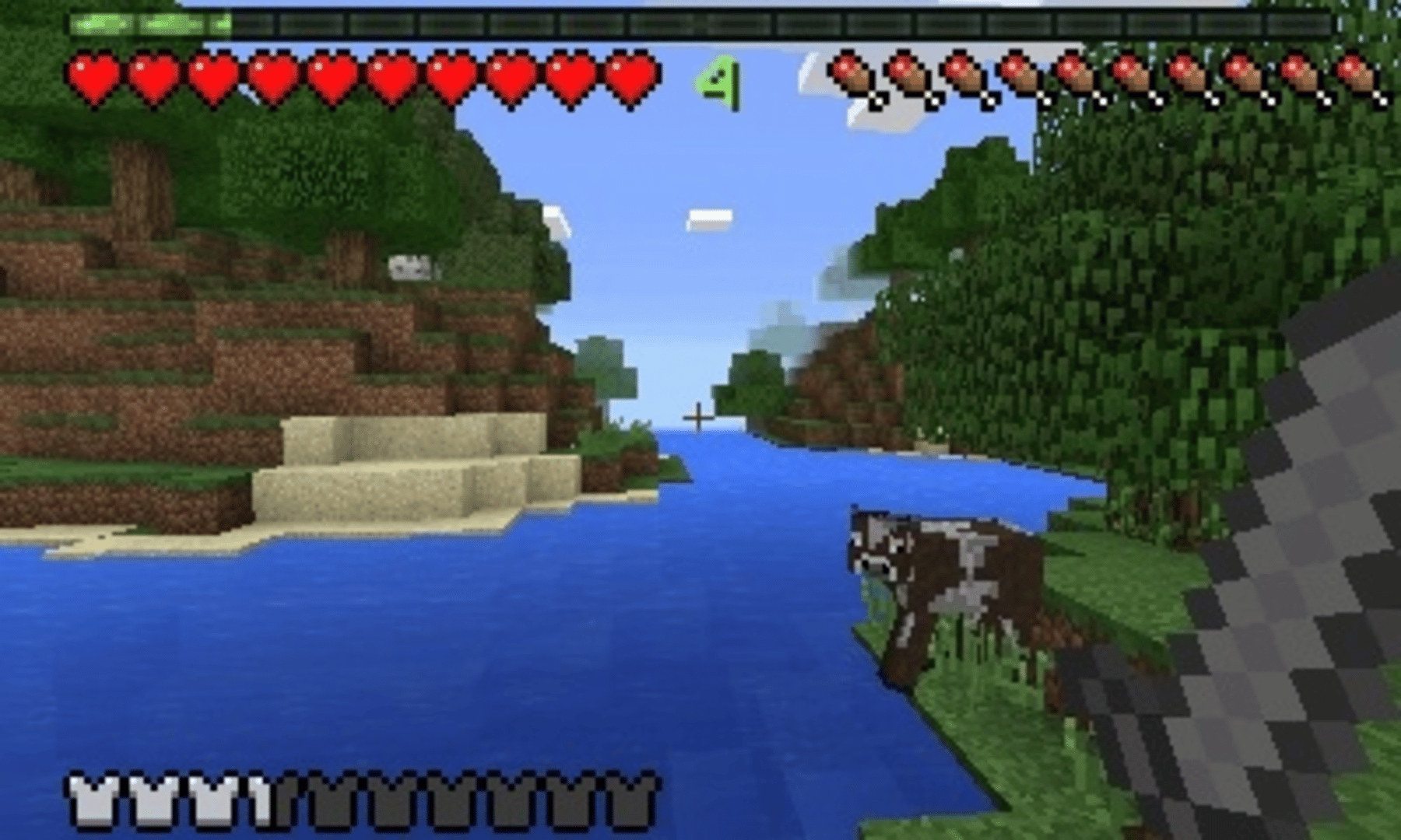 Minecraft: New Nintendo 3DS Edition screenshot: voxel, first-person, no outlines (environment)