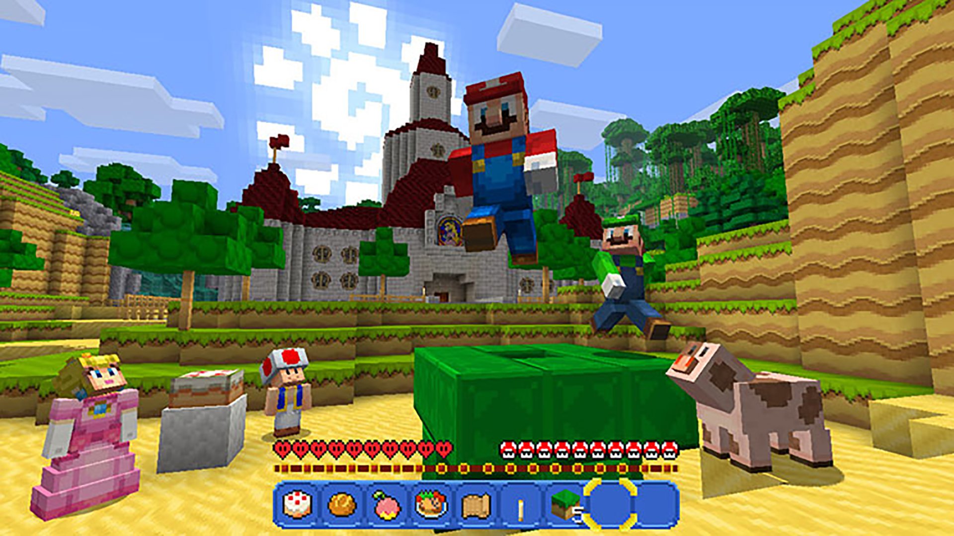 Minecraft: Nintendo Switch Edition screenshot: voxel, first-person, no outlines (environment, character)