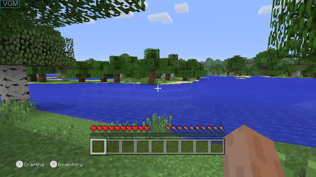 Minecraft: Wii U Edition screenshot: voxel, first-person, no outlines (environment)