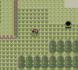 Pokémon Crystal Version screenshot: pixel art, three-quarter, black outlines, flat / unlit (environment)