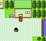 Pokémon Gold Version screenshot: pixel art, three-quarter, fixed camera, black outlines, flat / unlit (environment)