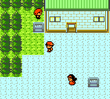Pokémon Gold Version screenshot: pixel art, three-quarter, black outlines, flat / unlit (environment)
