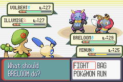Pokémon Ruby Version screenshot: pixel art, three-quarter, colored outlines (combat)
