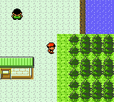 Pokémon Silver Version screenshot: pixel art, three-quarter, black outlines, flat / unlit (environment)