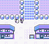 Pokémon Yellow Version: Special Pikachu Edition screenshot: pixel art, three-quarter, black outlines, flat / unlit (environment, character)