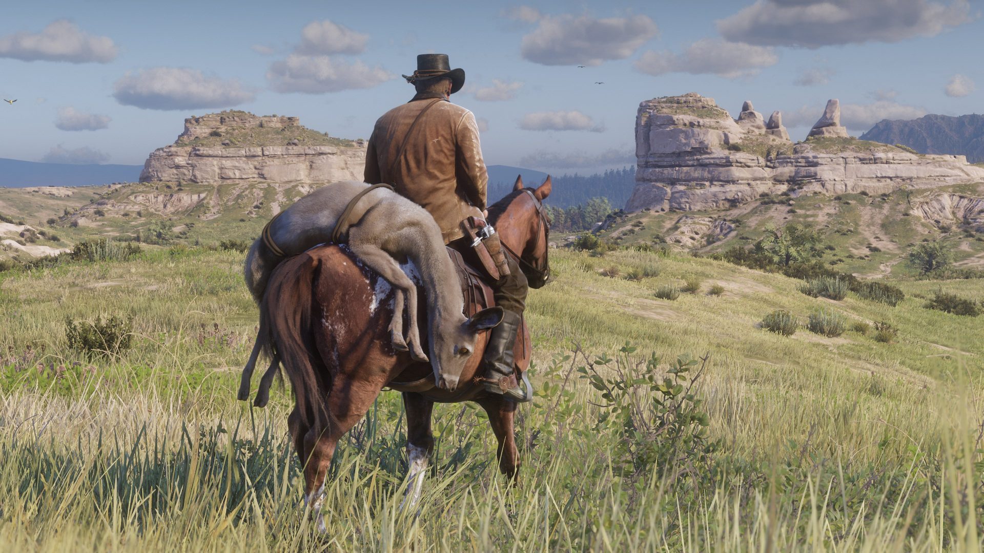 Red Dead Redemption 2 screenshot: realistic, third-person, first-person, no outlines, realistic lighting (environment, character)