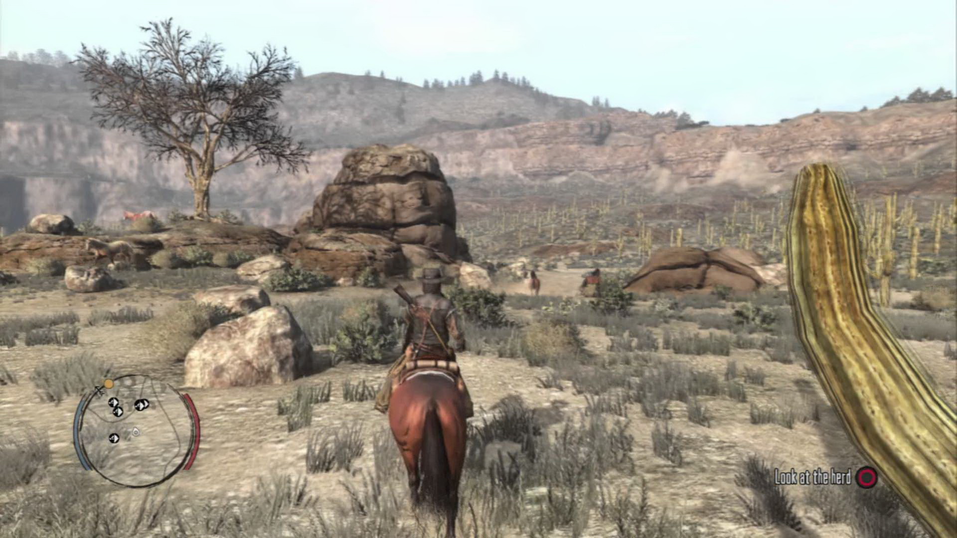 Red Dead Redemption screenshot: realistic, third-person, no outlines, realistic lighting (environment, character)