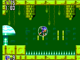 Sonic the Hedgehog 2 screenshot: pixel art, side-scrolling, black outlines (environment)