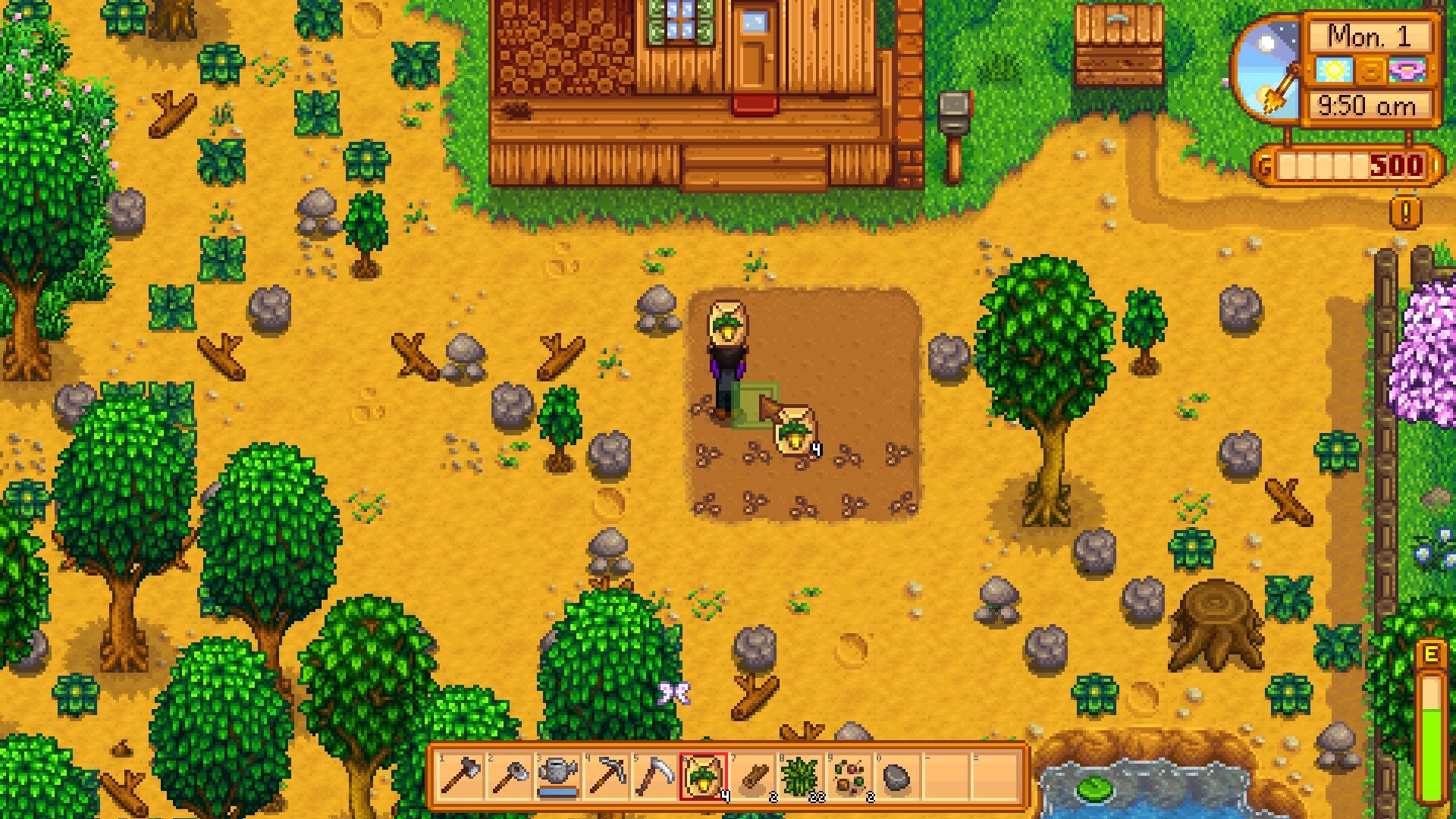 Stardew Valley screenshot: pixel art, three-quarter, colored outlines, baked lighting (environment)
