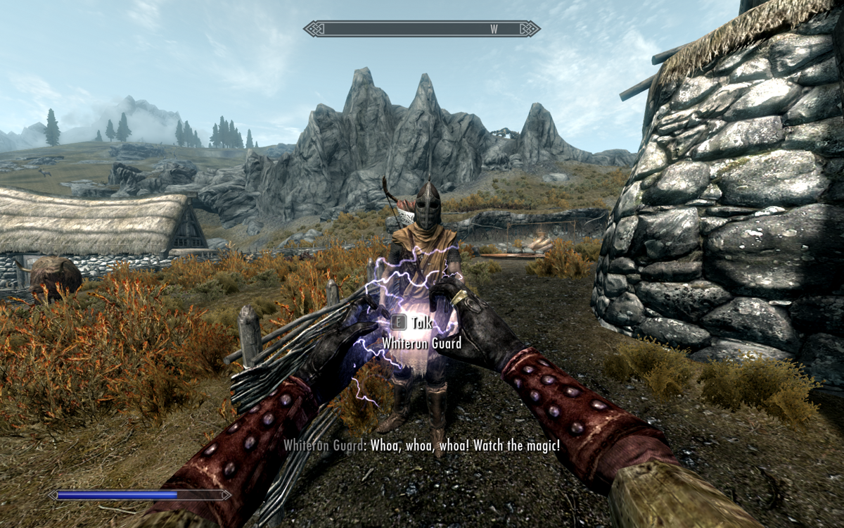 The Elder Scrolls V: Skyrim screenshot: realistic, first-person, third-person, no outlines, realistic lighting (environment, character)