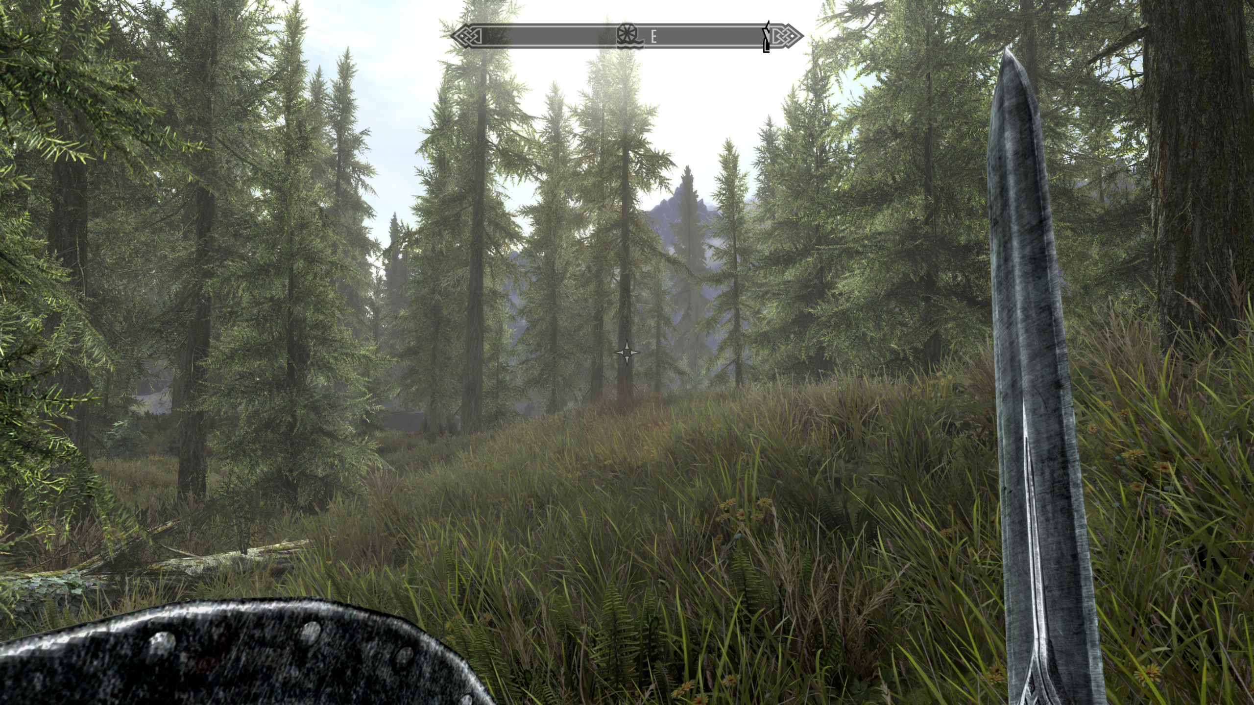 The Elder Scrolls V: Skyrim screenshot: realistic, first-person, third-person, no outlines, realistic lighting (environment)