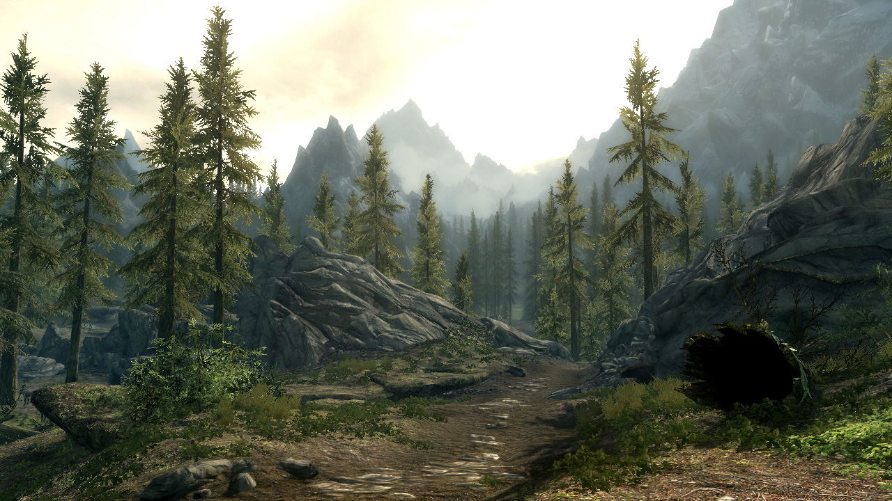 The Elder Scrolls V: Skyrim screenshot: realistic, first-person, third-person, no outlines, realistic lighting (environment)