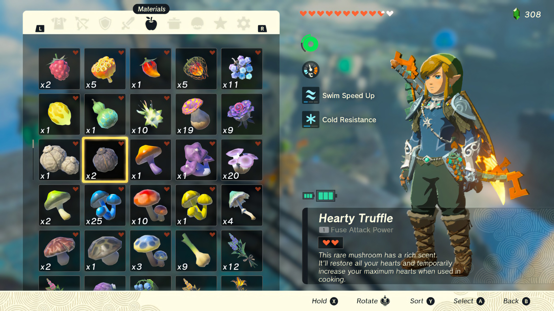 The Legend of Zelda: Tears of the Kingdom screenshot: cel-shaded, third-person, no outlines, two-tone cel (character, ui / menu)